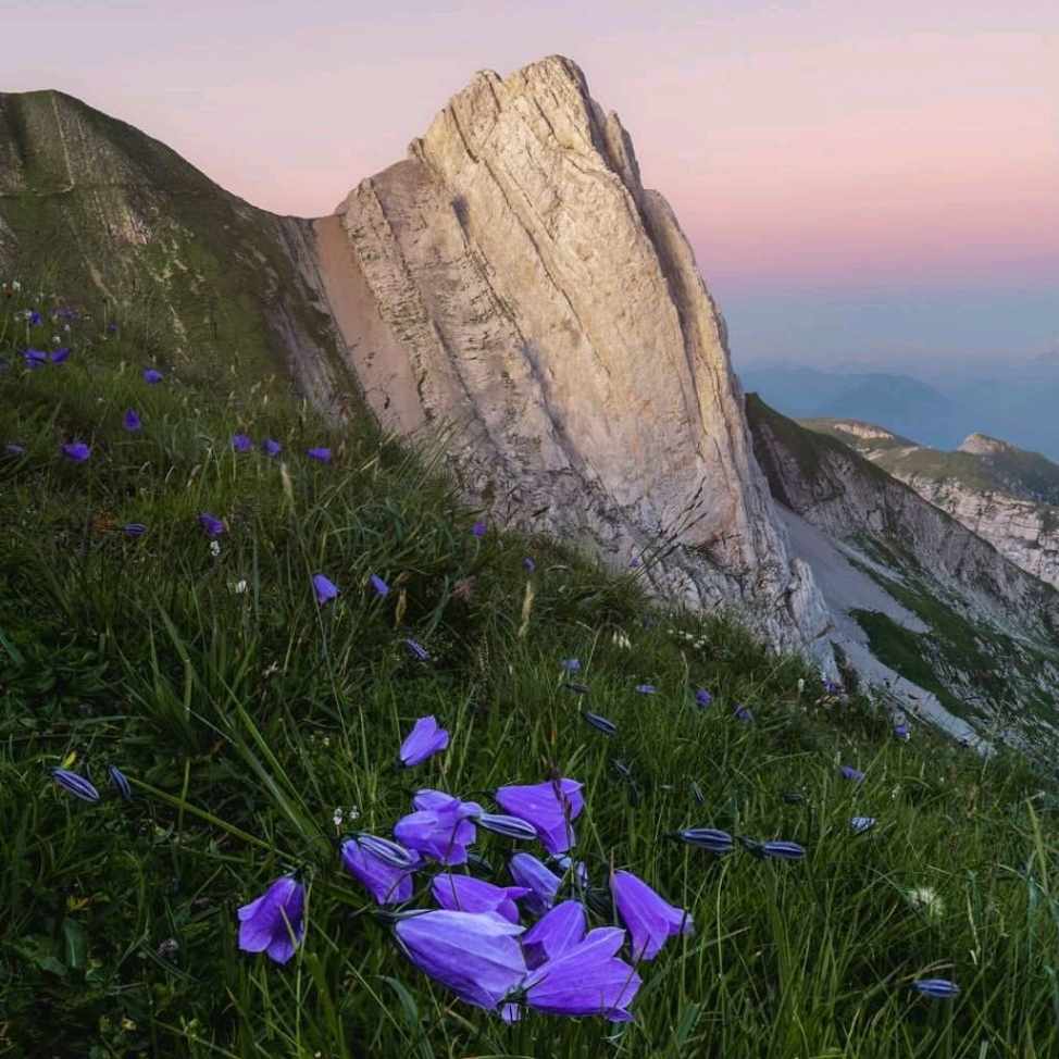 دانلود آهنگ دلبر دلبر قشنگی دنیا تو هستی ای دختر